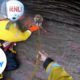 Injured dog rescued after falling 100 feet down cliff | USA TODAY