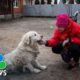 Inside The Effort To Get Animals Out Of Ukraine