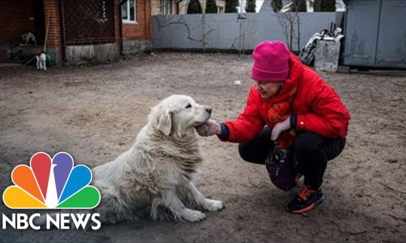 Inside The Effort To Get Animals Out Of Ukraine