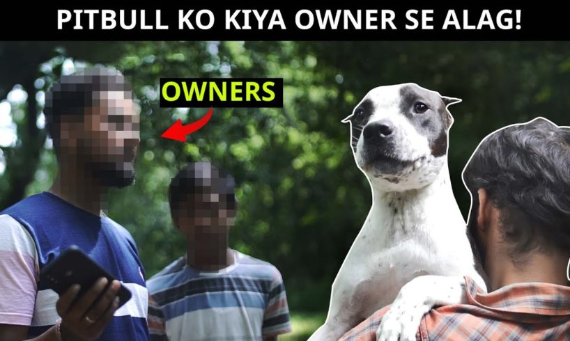 Kyon hamne is dog ko uske owner ko dene se kiya inkar?