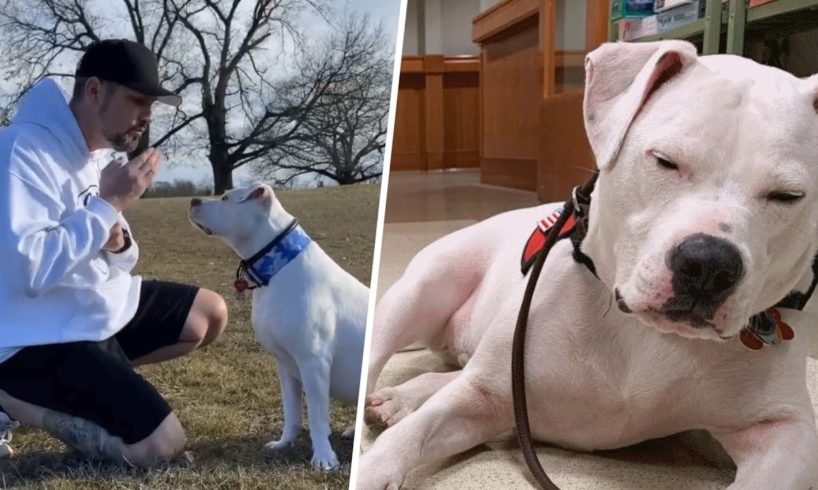 Man learns sign language for his rescued deaf puppy