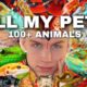 Meet ALL My Pets (I Have 100+ Animals) [🐸,🦔,🐶,🕷,🐢,🦎,🐍,🐜]