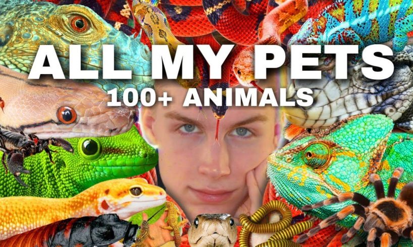 Meet ALL My Pets (I Have 100+ Animals) [🐸,🦔,🐶,🕷,🐢,🦎,🐍,🐜]