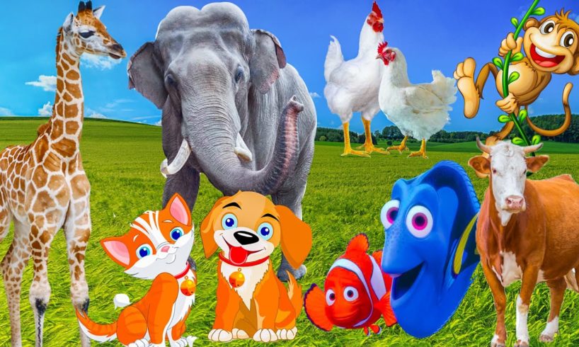 Mischievous animals: elephant, chicken, cat, horse, cow - Animal sounds Part 23