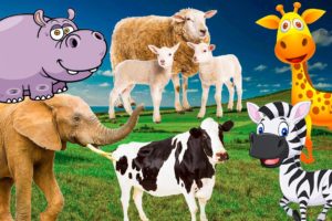 Moments of herbivores: elephant, cow, horse, sheep, hippo, goat - animal sounds - Part 19