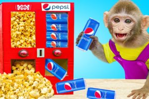 Monkey Kiki playing with POPCORN And PEPSI Vending Machine | KUDO ANIMAL KIKI