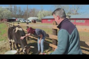 New farm offers haven for rescued farm animals