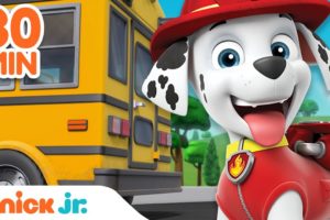 PAW Patrol Back to School Rescues & Adventures! | 30 Minute Compilation | Nick Jr.