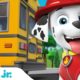 PAW Patrol Back to School Rescues & Adventures! | 30 Minute Compilation | Nick Jr.