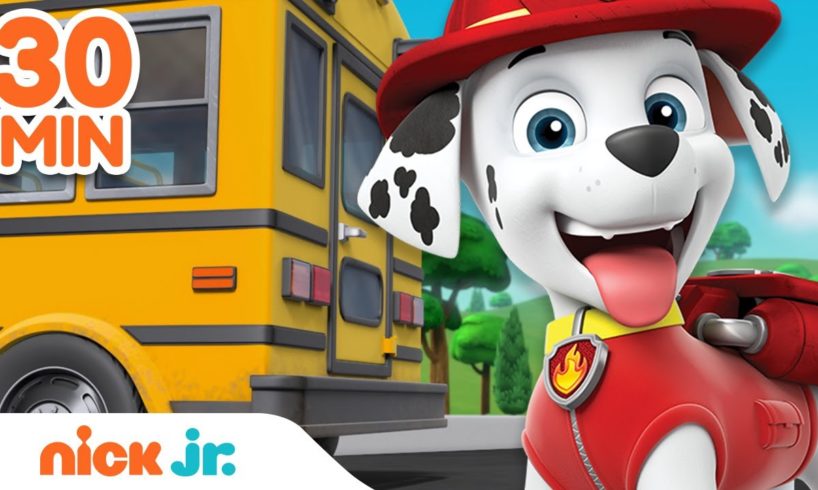 PAW Patrol Back to School Rescues & Adventures! | 30 Minute Compilation | Nick Jr.