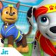 PAW Patrol Rescues & Healthy Habits! w/ Chase & Marshall ⚽️ | 30 Minute Compilation | Nick Jr.