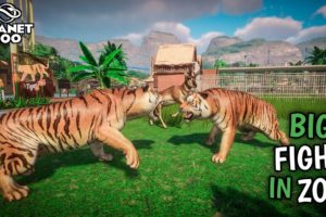 RELEASE ALL ANIMAL FOR MY ZOO | PLANET ZOO ANIMAL FIGHTS #31 GAMEPLAY IN HINDI😰