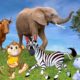 Relax with familiar animals: cats, dogs, elephants, cows, chickens, monkeys - Animal sounds