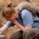 Rescued Baby Pangolin Loves Piggyback Rides | The Dodo Wild Hearts