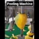Satisfying Peeling Machine #shorts #satisfyingvideo #machine #oddlysatisfying #satisfyingtechnology