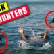 Shark Encounters That Will Traumatize You !!