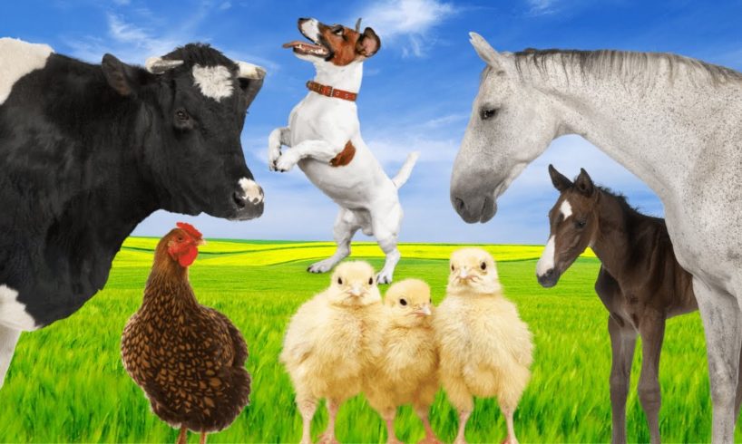 Sound of Animals Around Us: Cow, Cat, Horse, Rooster. Farm Animals [ Farm Animal Videos ]