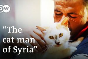 Syria: Animal rescue in times of war | DW Documentary