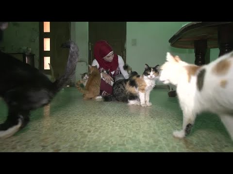 Syrian woman sells belongings to feed rescued animals