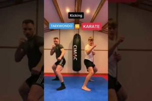 Taekwondo & Karate Kick