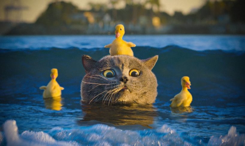 The Cat Who Rescued the Duckling