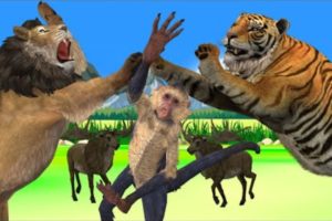 Tiger vs Lion Funny Monkey Killed By Lion Wild Animal Fights 3d Cartoon Animal Revenge Stories