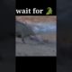 WAIT FOR CROCODILE | ANIMAL FIGHTS | #NAT GIO #DISCOVERY #tiktok #tiktokvideo #tiktokviral #shorts