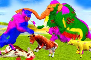 Woolly Elephant Vs Tooth Tiger Animal Fight Zombie Mammoth Helps Rescue Cartoon Cow Tiger Attack