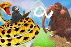 Woolly Mammoth Vs Titanoboa Snake Lion Bull Animal Fight for Monkey Rescue Saved by Mammoth Elephant