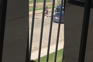 fight In Ridgecrest Apartments she not playing Hood fighting him in Oak Cliff Tx #fight #oakcliff#