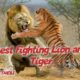 wild animals videos,wild animals,wild animals for kids,wild animal fights,wild animal hunting part 4