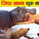 ऐसी भयानक लड़ाई आज से पहले नही देखी होगी | Craziest Animal Fights of All Time