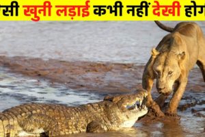 जानवरों की सबसे भयानक लड़ाई | 10 Most Dangerous Wild Animal Fights