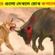 জঙ্গলি প্রাণীদের সবচেয়ে ভয়ঙ্কর লড়াই।।10 Most Dangerous Wild Animal Fights In Bangla