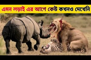 জঙ্গলের জানোয়ারদের মধ্যে ভয়ংকর লড়াই । Animal Fights In Bangla