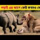 জঙ্গলের জানোয়ারদের মধ্যে ভয়ংকর লড়াই । Animal Fights In Bangla