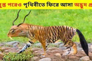 বিলুপ্ত পরে পৃথিবীতে ফিরে আসা প্রাণী।।These Extinct Animals Have Returned To Earth Again In Bangla