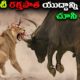 భీకరమైన అడవి జంతువుల పోరాటాలు | 10 Most Dangerous Wild Animal Fights.