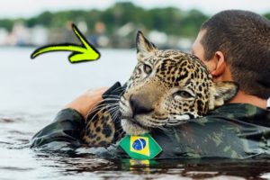 10 Inspiring Animals Rescues That Will Restore Your Faith In Humanity