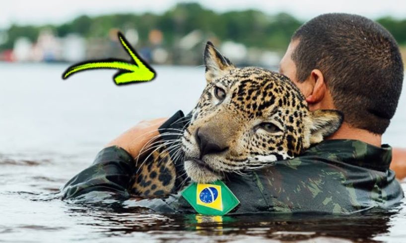 10 Inspiring Animals Rescues That Will Restore Your Faith In Humanity