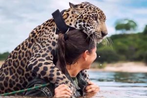 10 Most Amazing Stories About Animal Rescue