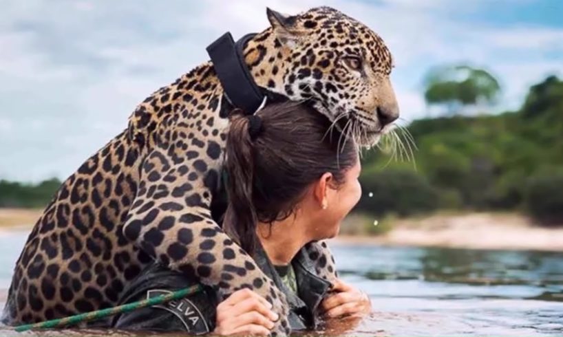 10 Most Amazing Stories About Animal Rescue