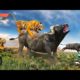 10 zombie tigers vs cow buffalo the fight,animal fights,rope hero vs cow the fight,super vs robot