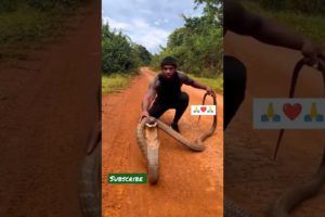 king cobra snake video, snake in ear, snake song, snake movie, snake game  snake#shorts #viral#reels