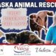 ALASKA ANIMAL RESCUES