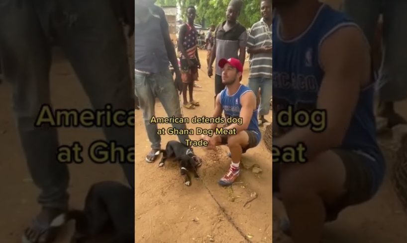 AMERICAN DEFENDS DOG AT AFRICAN MEAT TRADE #usa #animals #tiktok #youtubeshorts #viral #dogs #rescue