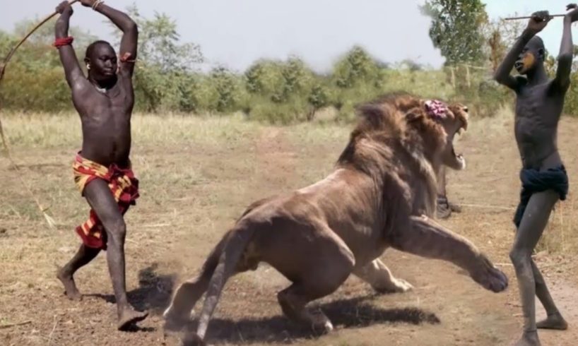 Amazing Wild Animals Hunt - Wild Animal Fights Caught On Camera Lion, Tiger, Wildebeest, Snake