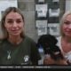 Animal rescue group on needs in Ukraine