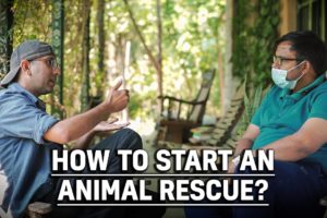Animal rescue shelter kaise khole | How to set up an animal rescue NGO in India