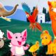 Animal sounds: cow, chicken, cat, pig, elephant, sheep - Herbivores, familiar animals